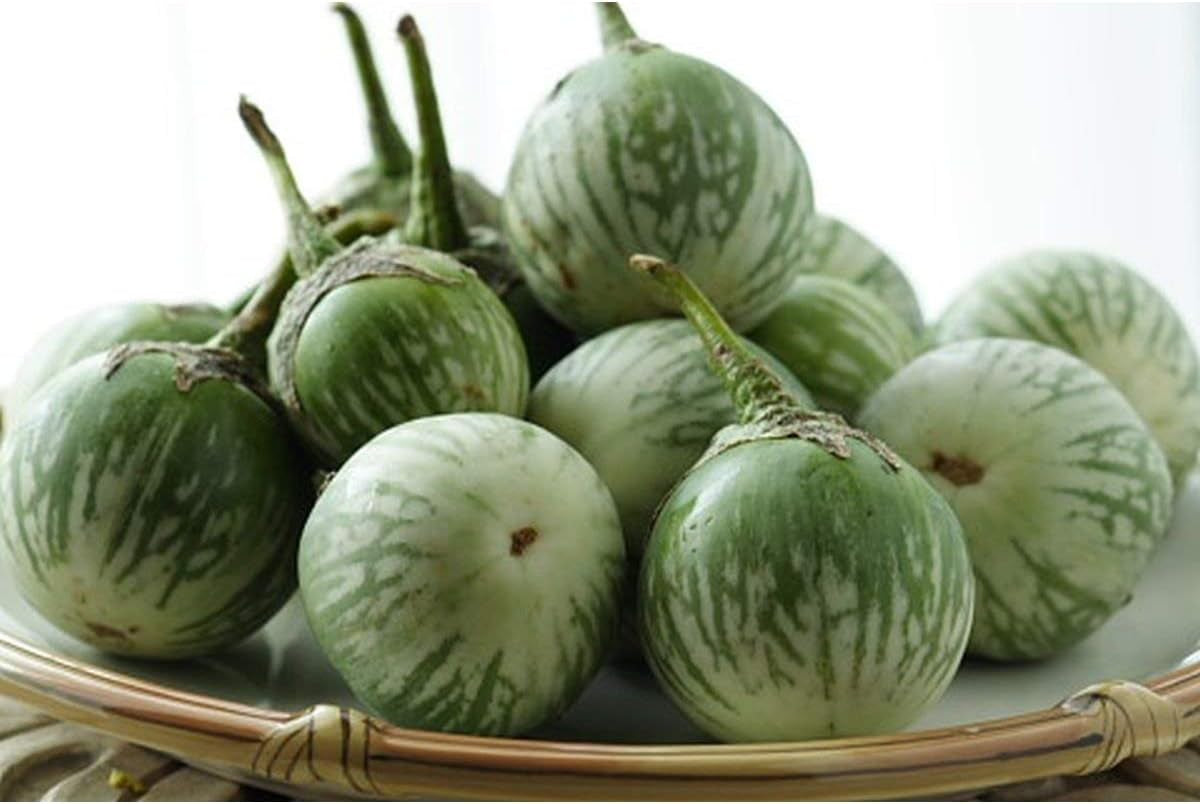 Thai round Green Eggplant Seeds (40 Seed Pack)