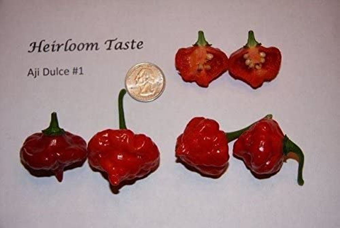 AJI DULCE #1 ,Pepper Seeds,Known as Ajicitoo,Aji Gustoso,Ají Cachucha & Sweet (25 Seeds)
