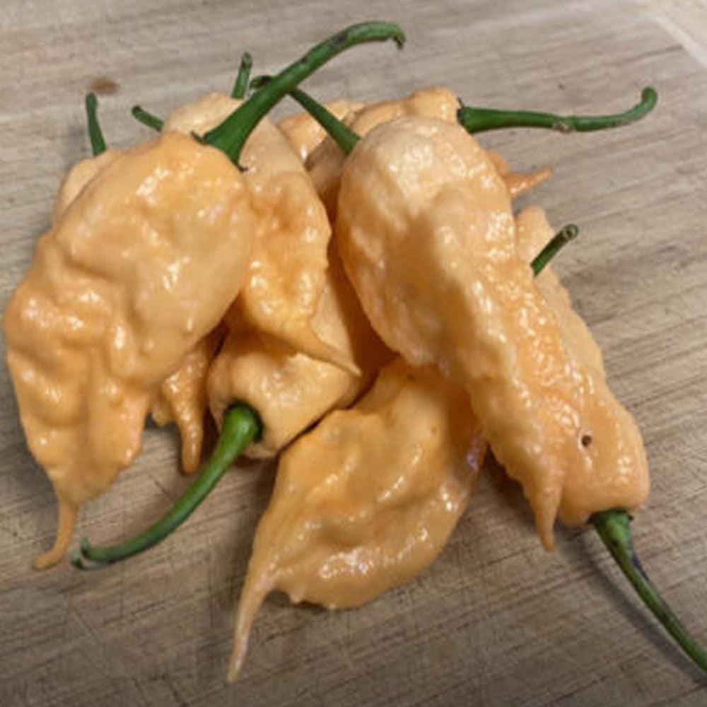 10 Seeds Peach Ghost Scorpion - Seeds Hot Pepper - Organic Fresh Pepper Seeds for Planting - Live Seeds for Home and Garden