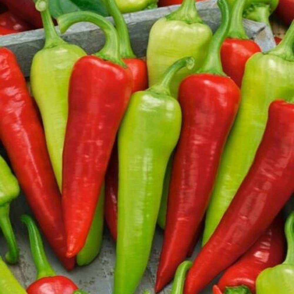 50 Seeds Sweet Banana Pepper Seeds Capsicum Annuum - Organic Fresh Seeds for Planting - Sweet Banana Pepper Seeds for Home and Garden