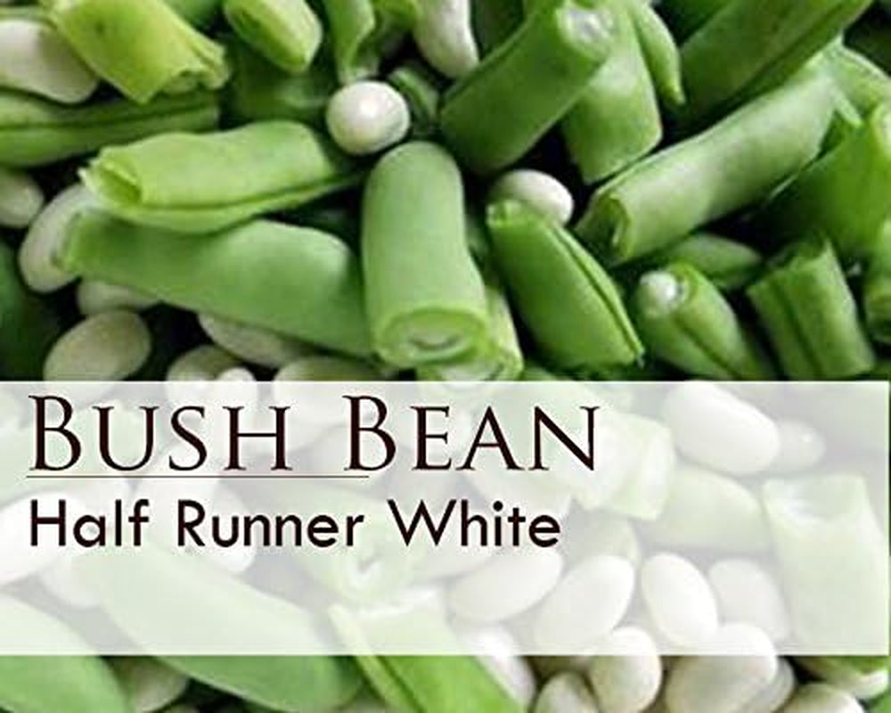 White Half Runner Bean (1 Oz Seed Pack). Yields an Early, Heavy Crop of Tender Green Pods and Sweet Flavor.