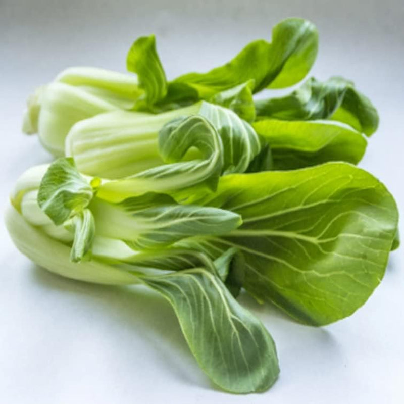 800+Seeds Pak Choi Chinese Cabbage - Brassica Rapa - Seed Plant Vegetable for Your Garden