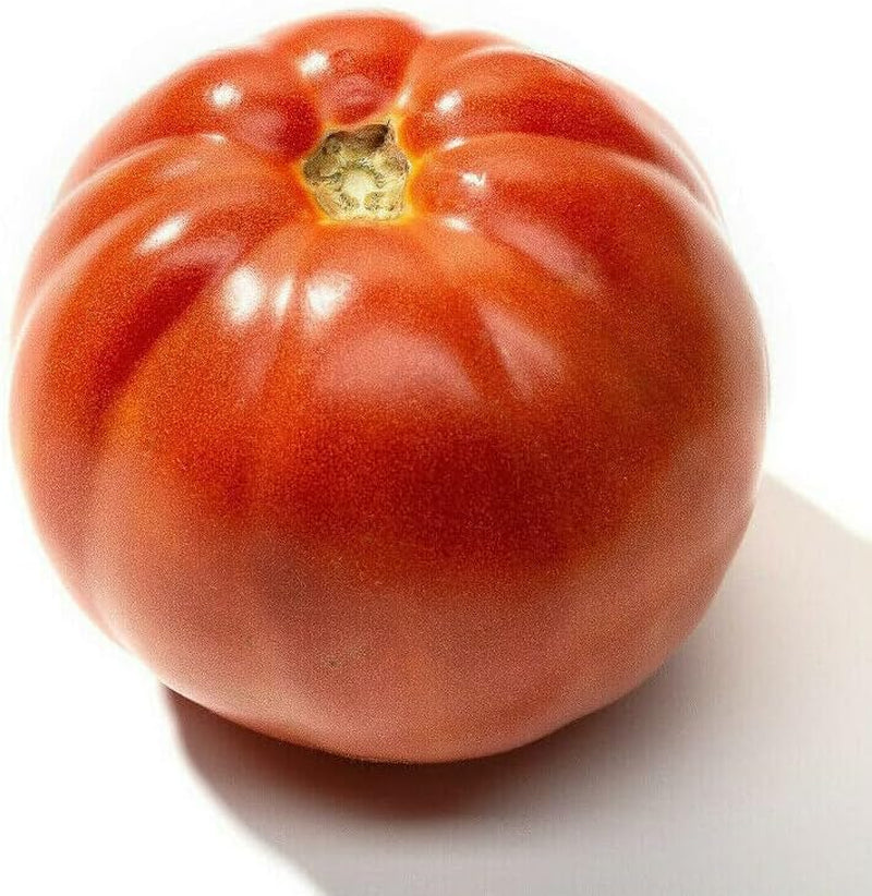 50 Seeds Tomato Druzba - Seed Tomato Vegatable| a Non-Gmo Heirloom Beefsteak Slicing Tomato of Bulgaria Seed for Your Garden