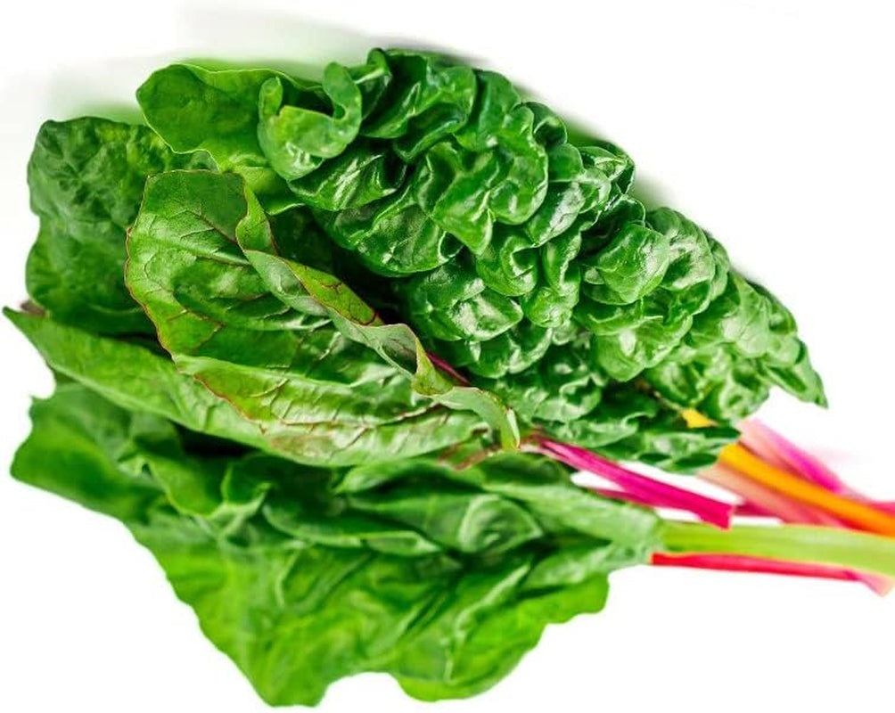100 Seeds - Power Greens Seed Collection for Planting 100 Rainbow Swiss Chard Non-Gmo Heirloom Vegetable Seeds - Garden or Microgreens