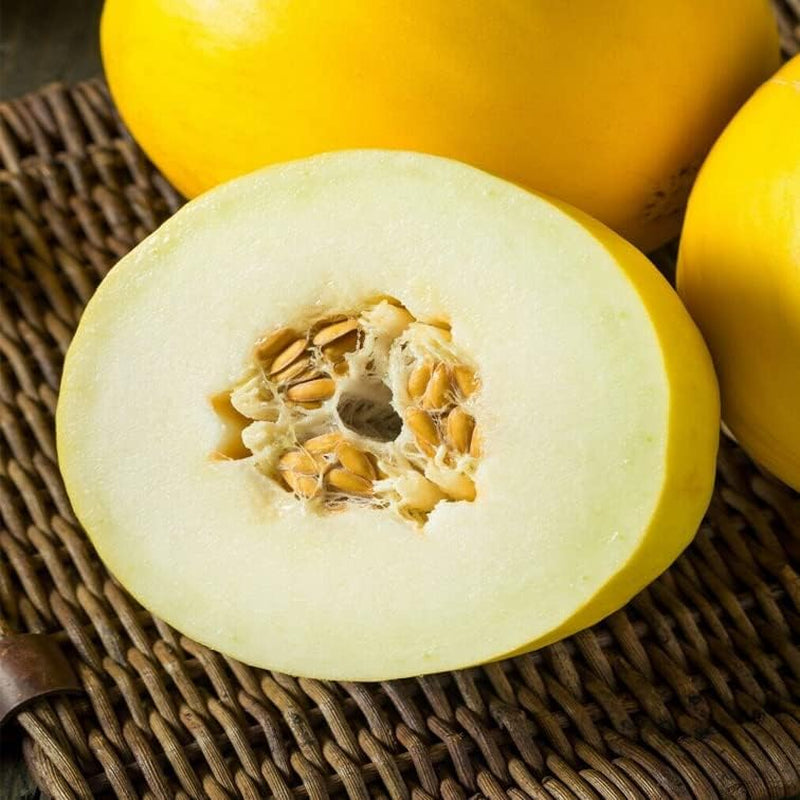 Seeds Mango Melon Fruit Plant for Garden - Cucumis Melo VAR. Chito - 10+ Seeds