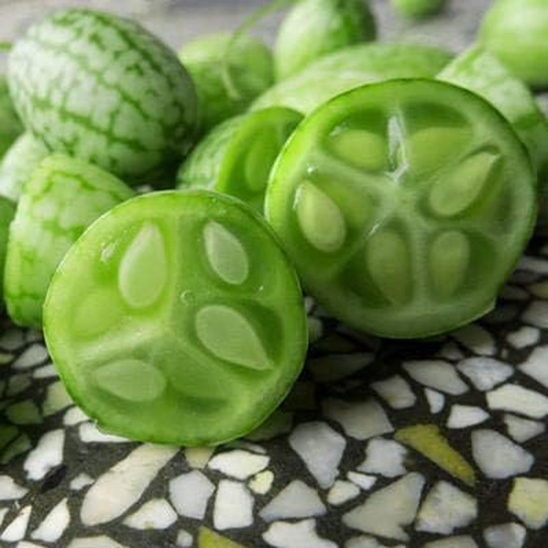 60 Seeds Cucamelon/Mexican Sour Gherkin Seeds(Melothria Scobra)