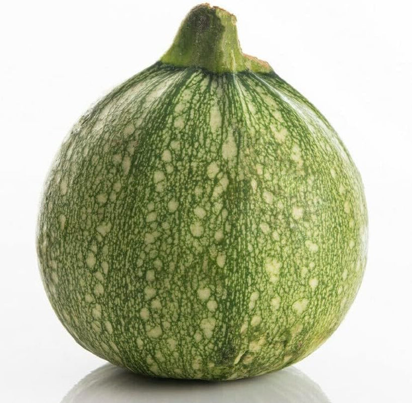 Seeds Zucchini - 50 round Planting Zucchini Summer Squash Seeds | Non-Gmo Heirloom Vegetable - Zucchini 50 round Seeds for Your Garden