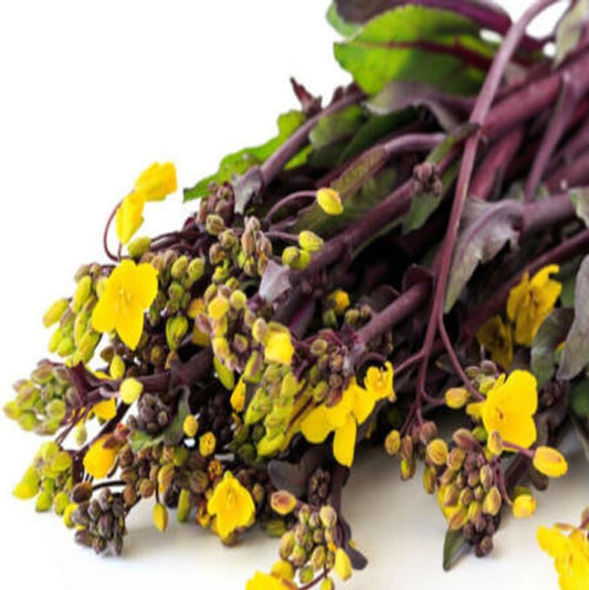 200 Seeds Purple Choy Sum Seeds Hon-Tsai Tai Kosaitai Chinese Flowering Cabbage - Organic Plant Seeds for Home and Garden - Seeds for Planting - Live Purple Choy Sum Seeds