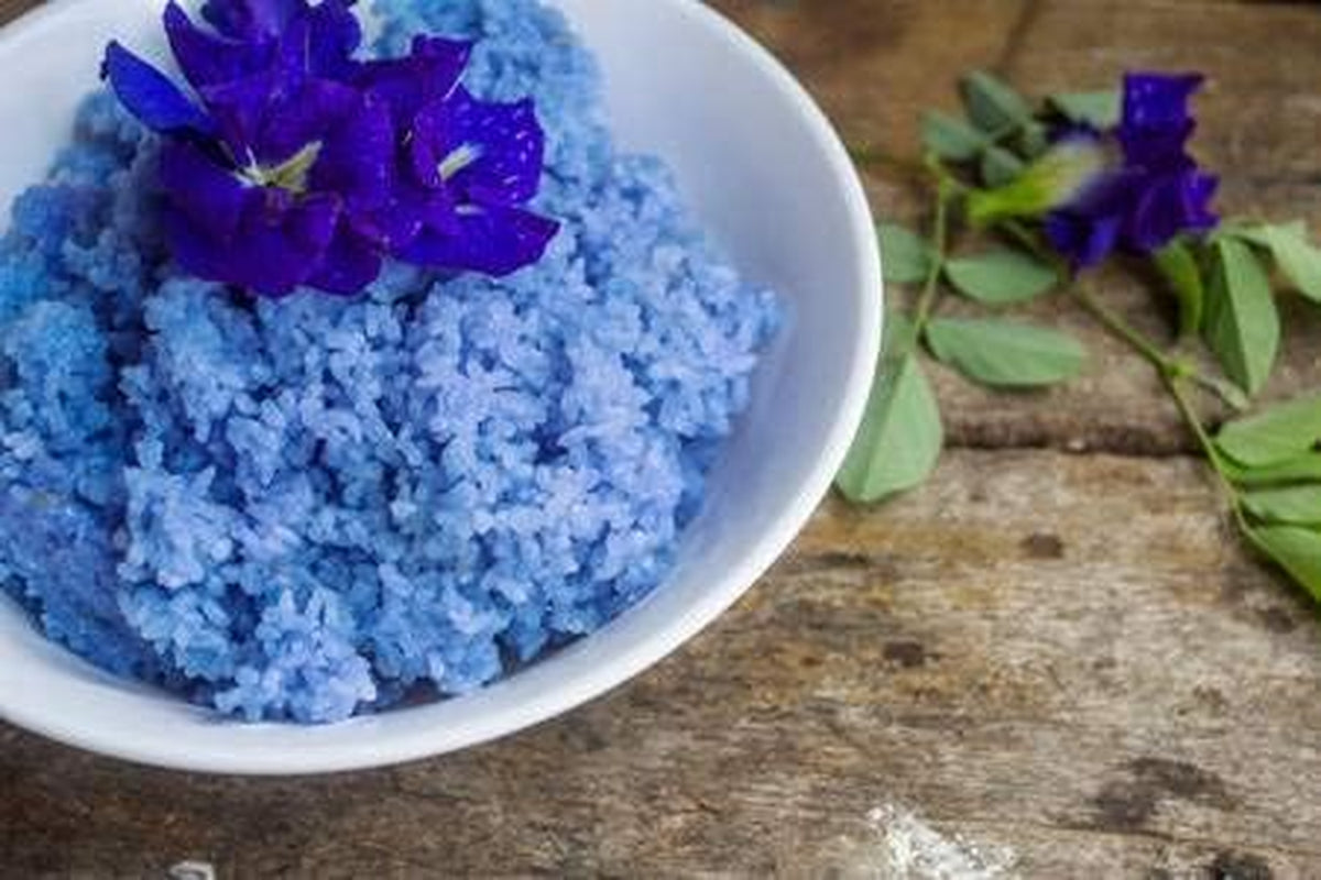 Blue Butterfly Pea Vine (Clitoria Ternatea) Perennial - 10 Seeds
