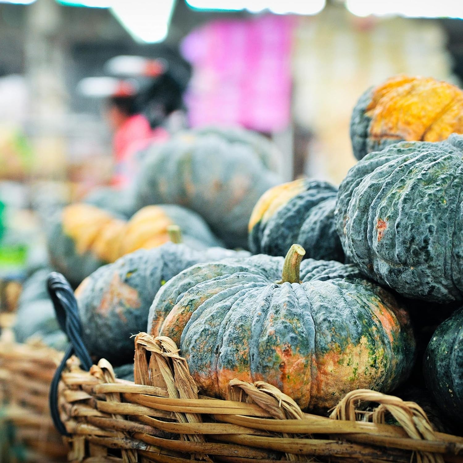 20 JAPANESE GREEN PUMPKIN SEEDS - Kabocha - Open Pollinated, Heirloom