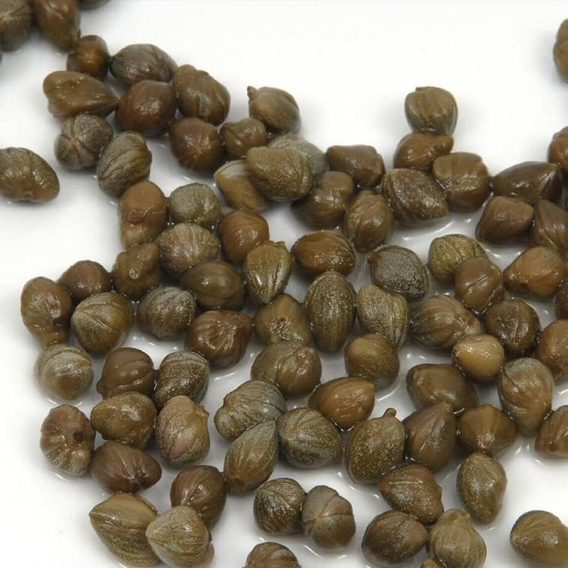 Seed Caper Bush - Capparis Spinosa - 25+ Seeds - the Caper Bush Plant for Your Garden