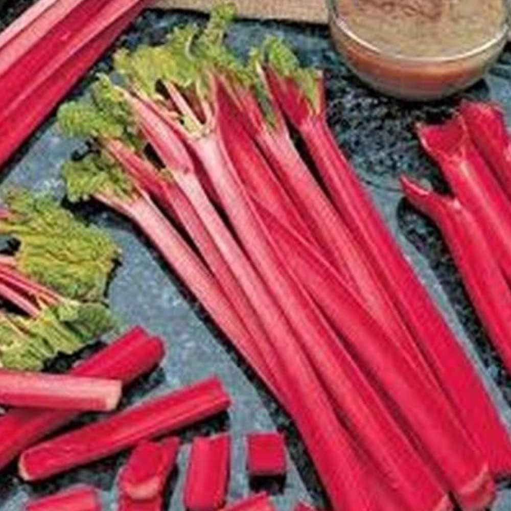 25 Seeds Rhubarb - Victoria Rheum - 25 Seeds Herb Organic Seeds for Planting - Plant Seeds for Home and Garden