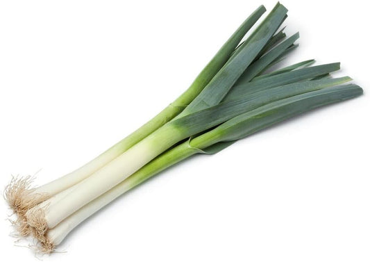500+ Seeds Leek American for MICROGREENS or Planting - Heirloom Vegetable - Leek Live Seeds for Your Home