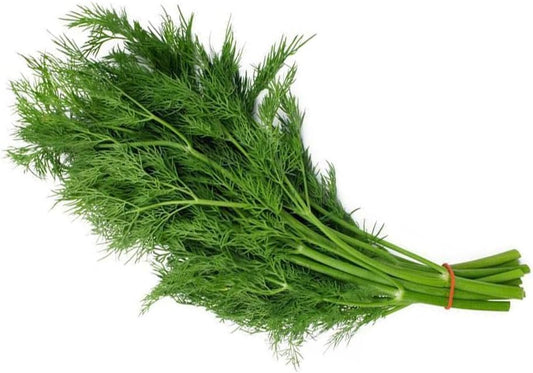200 Bouquet Dill Seeds Fresh Garden - Organic Fresh Seeds for Planting - Seeds for Home and Garden - Organic Fresh Seeds for Planting