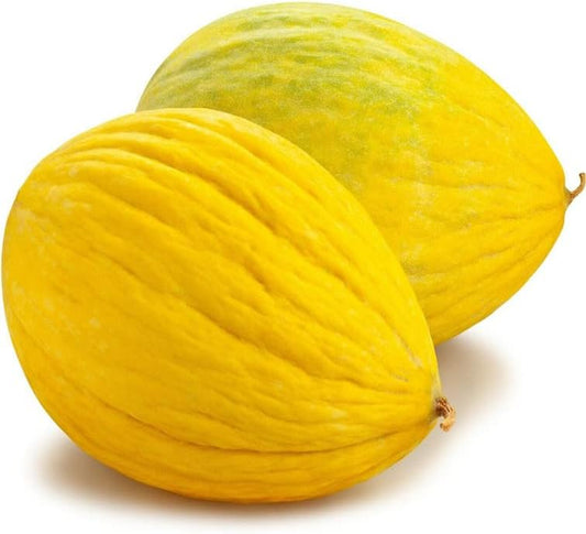 Seeds Melon Crenshaw Sweet Melon Cucumis Melon Heirloom 40+ Seeds Melon Berry Plant for Your Garden