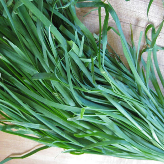 250 Seeds Garlic Chives Chinese Chives Vegetable Jiu CAI Seeds - Organic Fresh Seeds for Planting - Seeds for Home and Garden