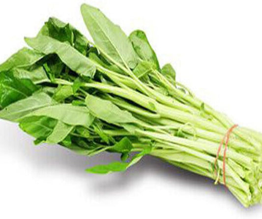 Spinach Seeds Ong Choy 50 Seeds White Stem Water,Kong Xin Cai,Heavy Producer Fresh USA - Organic Fresh Seeds for Planting - Seeds for Home and Garden and Landscape