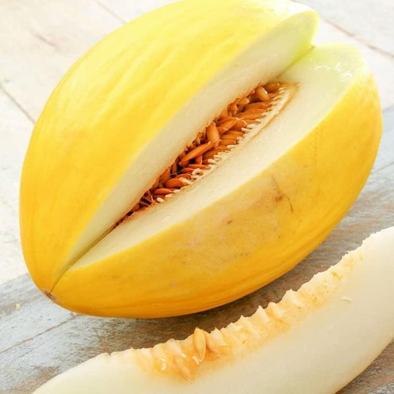 Seeds Melon Crenshaw Sweet Melon Cucumis Melon Heirloom 40+ Seeds Melon Berry Plant for Your Garden