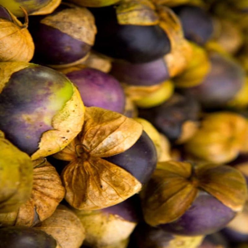 Seeds 25 of Pack Purple Tomatillo Heirloom - Physalis Ixocarpa -Non-Gmo 25+ Seeds