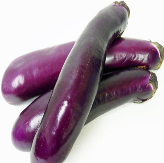 50 Seeds Chinese Eggplants Long Purple Eggplants Aubergine Asian Vegetable - Organic Fresh Seeds for Planting - Seeds for Home and Garden