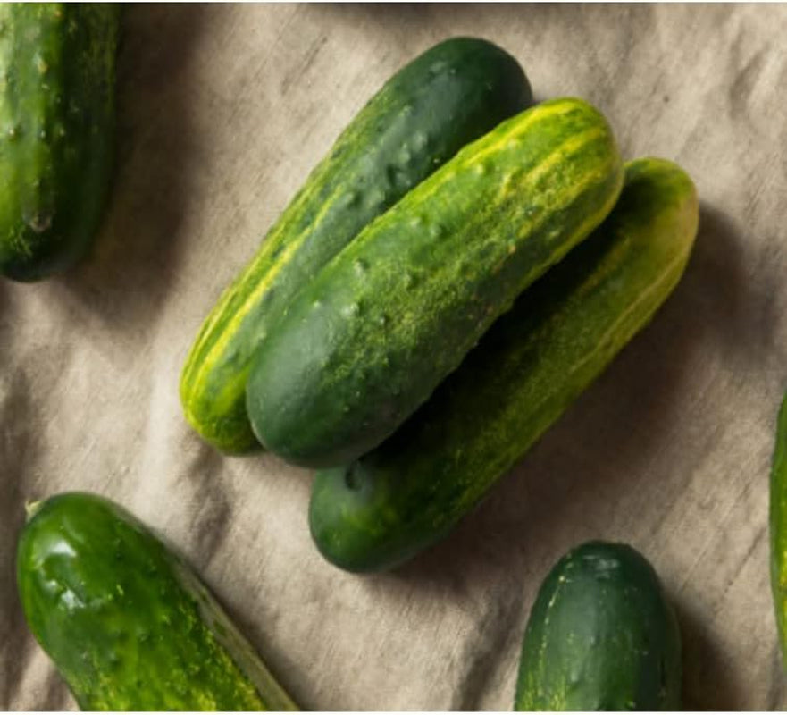 Cucumber Seeds 50+ Pickling Cucumber Seed - Heirloom - Plant for Your Garden