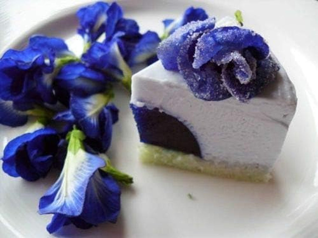 Blue Butterfly Pea Vine (Clitoria Ternatea) Perennial - 10 Seeds