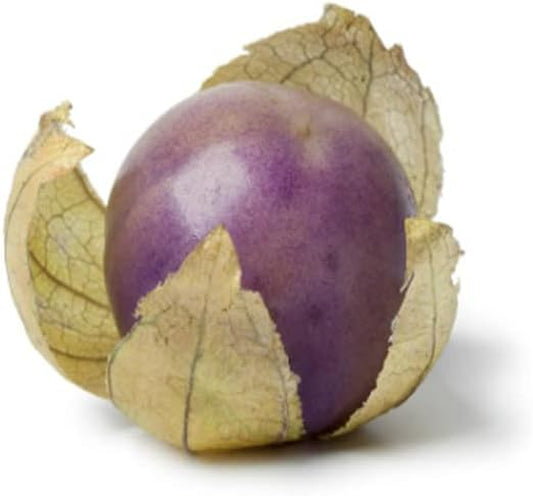 Seeds 25 of Pack Purple Tomatillo Heirloom - Physalis Ixocarpa -Non-Gmo 25+ Seeds