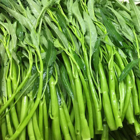 50 Seeds Thai Water Spinach Ong Choy Kangkong Kong Xin CAI Garden Vegetable - Organic Fresh Seeds for Planting - Live Seeds for Home and Garden
