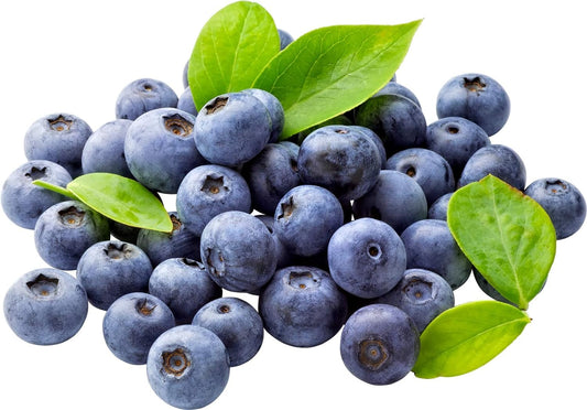 Southern Blueberry 50 Seeds - Blueberries Organic Seeds for Planting, Blueberries Fresh Fruit Seeds, Non GMO Berry Seeds, Dwarf Blueberry Bush Seeds for Planting Indoors