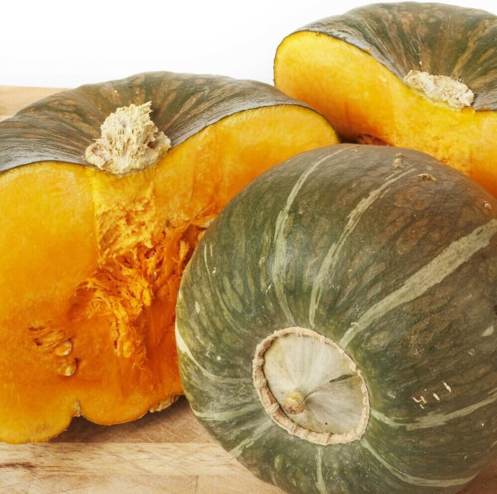 Buttercup Squash 20+ Count Seeds - Green Pumpkin Asian Japanese Kabocha Vegetable Seed 2023 - Organic Fresh Seeds for Planting - Live Seeds for Home and Garden