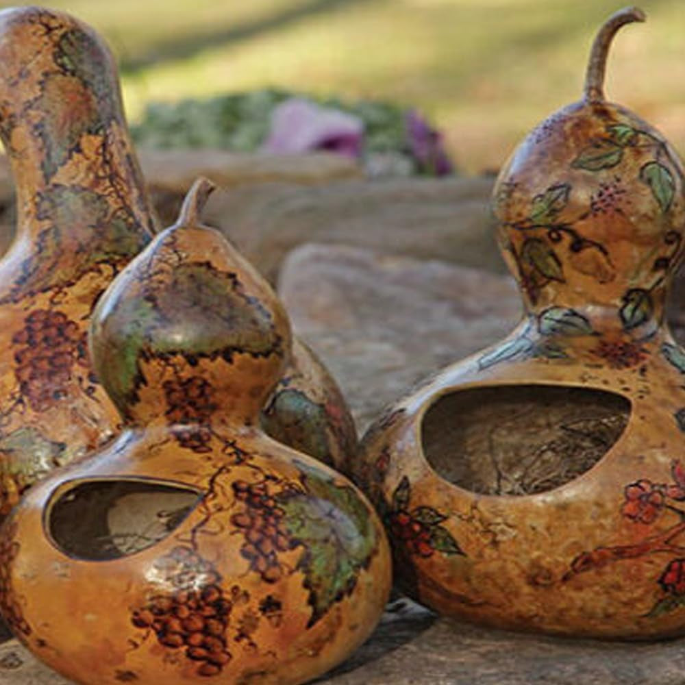 10 Bottle Gourd Seeds Birdhouse Craft Calabash Asian Buddha Squash Vegetable - Organic Fresh Seeds for Planting - Seeds for Home and Garden