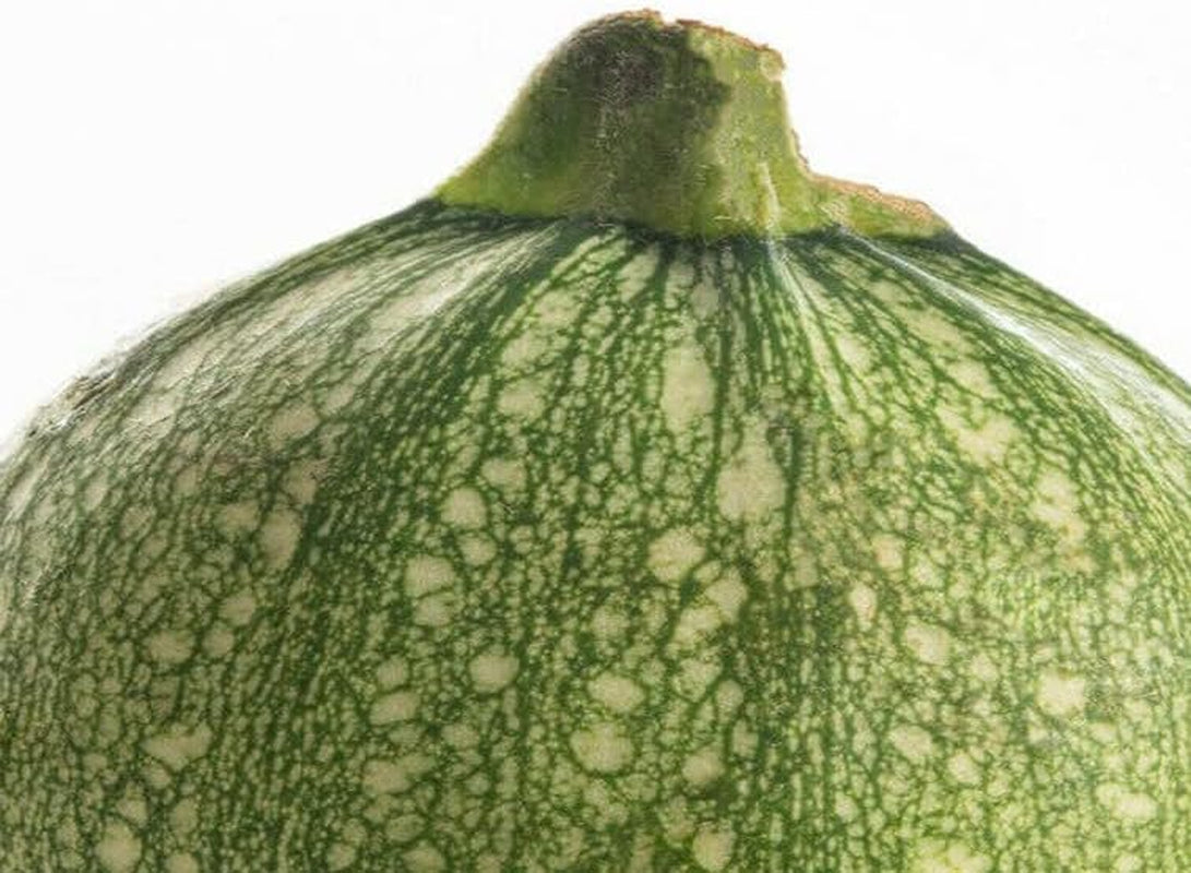 Seeds Zucchini - 50 round Planting Zucchini Summer Squash Seeds | Non-Gmo Heirloom Vegetable - Zucchini 50 round Seeds for Your Garden
