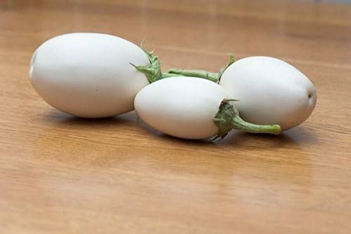 50 Easter Egg Plant Seeds Bright Fruits Look Exactly like Easter Eggs!