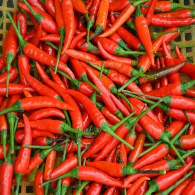 Thai Chili Very Hot Pepper Fresh 2022 50 Seeds Vegetables for Your Home and Garden
