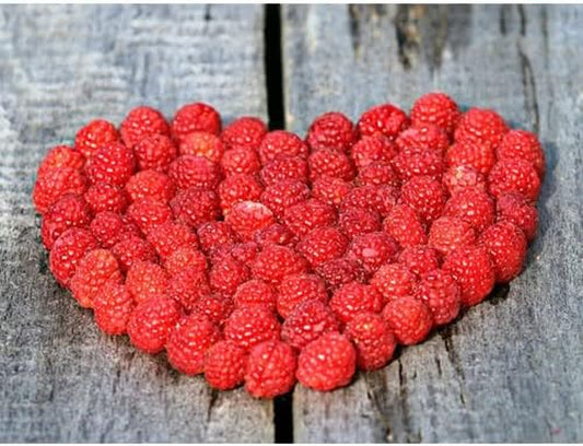 Red Raspberry Seeds - Rubus Idaeus - 50 Seeds - Berry Seeds for Your Home and Garden