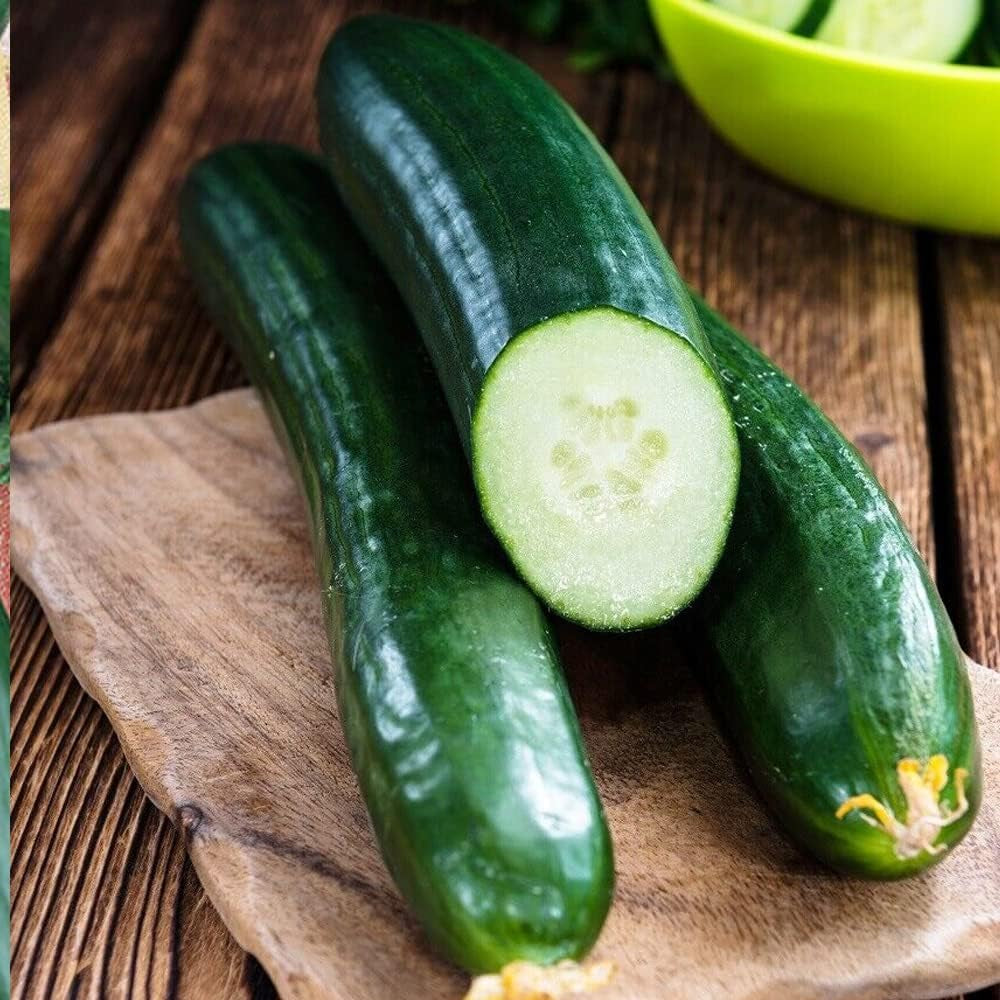 Tendergreen Burpless - English Cucumbers Slicing Pickling 2023 - Fresh Organic Plant Seeds for Home and Garden