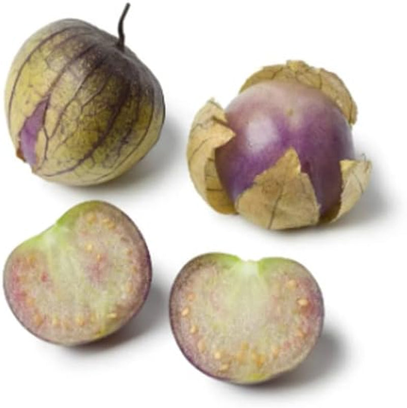 Seeds 25 of Pack Purple Tomatillo Heirloom - Physalis Ixocarpa -Non-Gmo 25+ Seeds