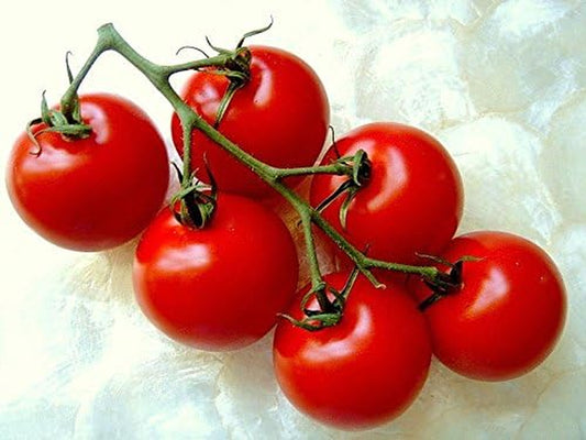 CAMPARI TOMATO, Sweet Vine Tomatoes Exotic Fruit Vegetables Plant Seed -25 SEEDS