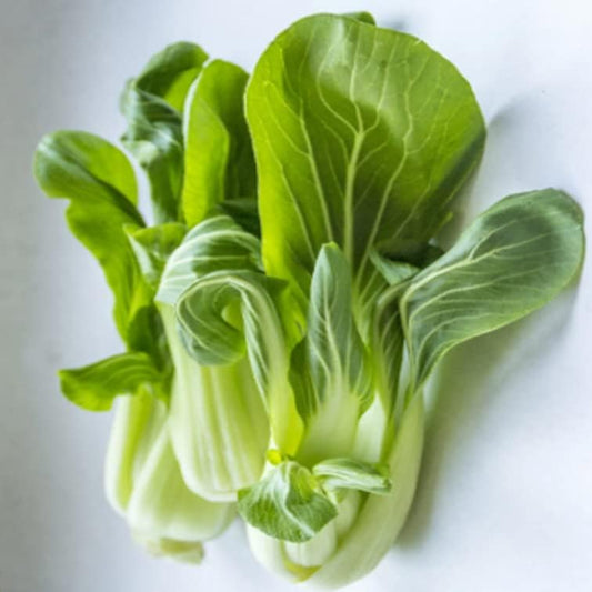 800+Seeds Pak Choi Chinese Cabbage - Brassica Rapa - Seed Plant Vegetable for Your Garden