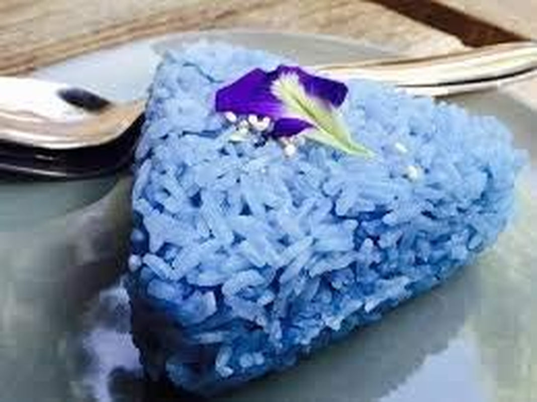 Blue Butterfly Pea Vine (Clitoria Ternatea) Perennial - 10 Seeds