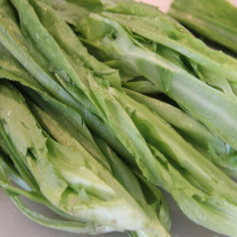200 Seeds Chinese Leaf Lettuce Sword Pointed Lettuce a Choy Yu Mai Tsai - Organic Fresh Seeds for Planting - Seeds for Home and Garden