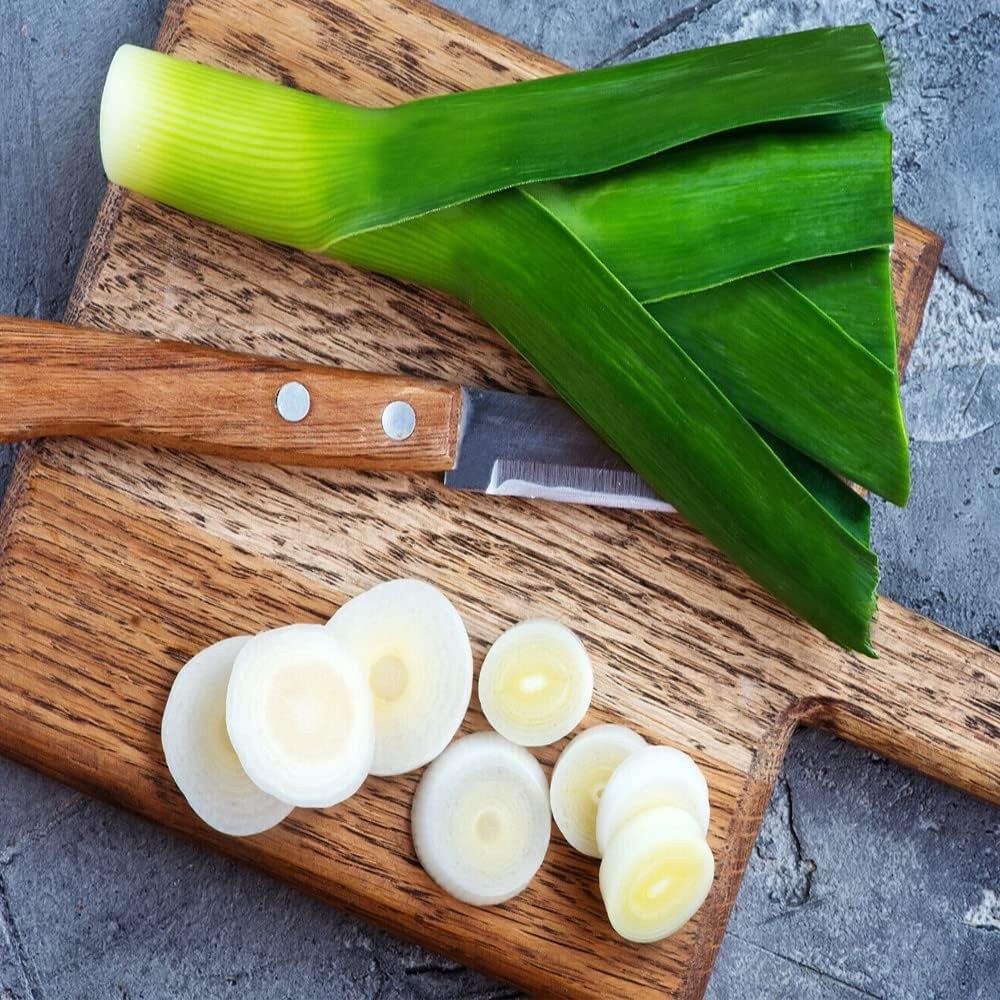 500+ Seeds Leek American for MICROGREENS or Planting - Heirloom Vegetable - Leek Live Seeds for Your Home