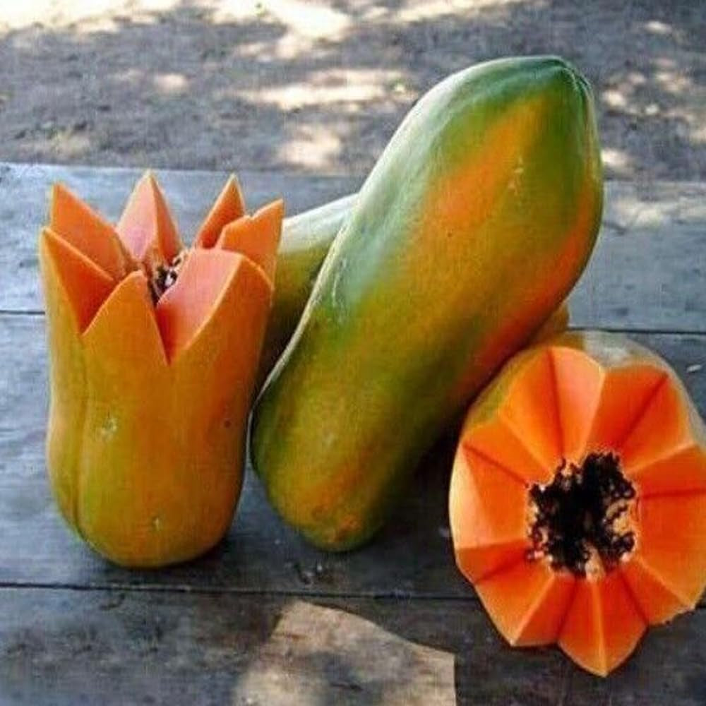 15 Seeds Meradol Maradol Caribbean Red Caribbean Sunrise Papaya Plant Big Fruit - Organic Fresh Seeds for Planting - Live Seeds