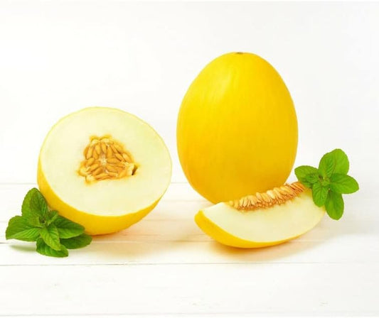 Seeds Mango Melon Fruit Plant for Garden - Cucumis Melo VAR. Chito - 10+ Seeds