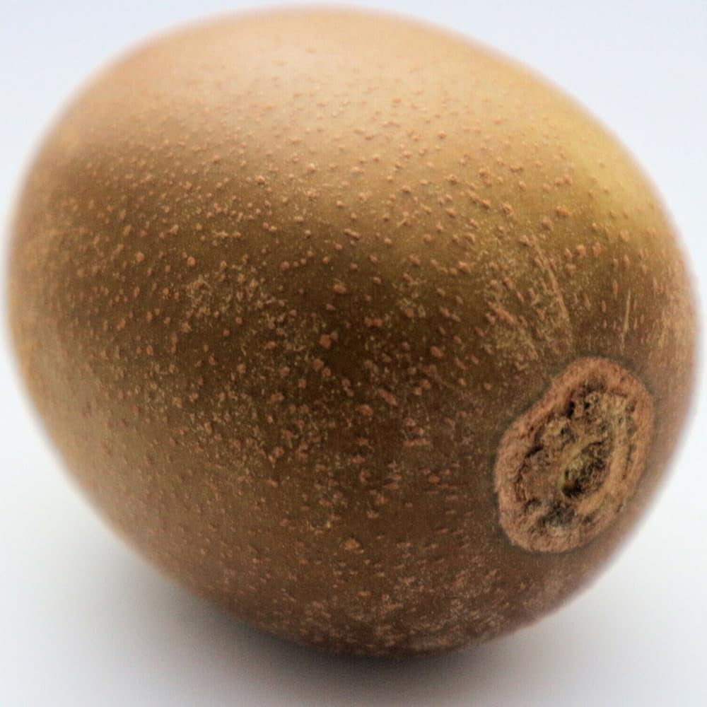 50 Golden Kiwi Fruit Yellow Actinidia Chinensis Kiwifruit Gooseberry Seeds