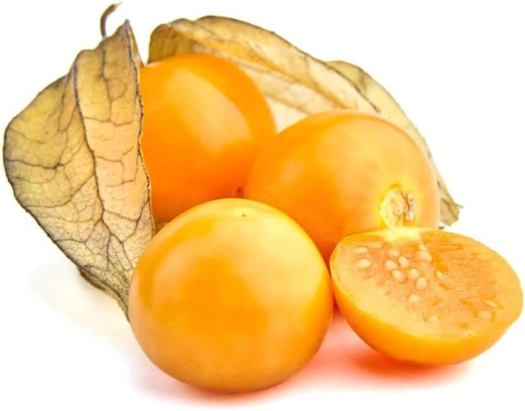 Cape Gooseberry,Giant Poha Berry,100 SEEDS (Physalis Peruviana) ,Ground Cherry