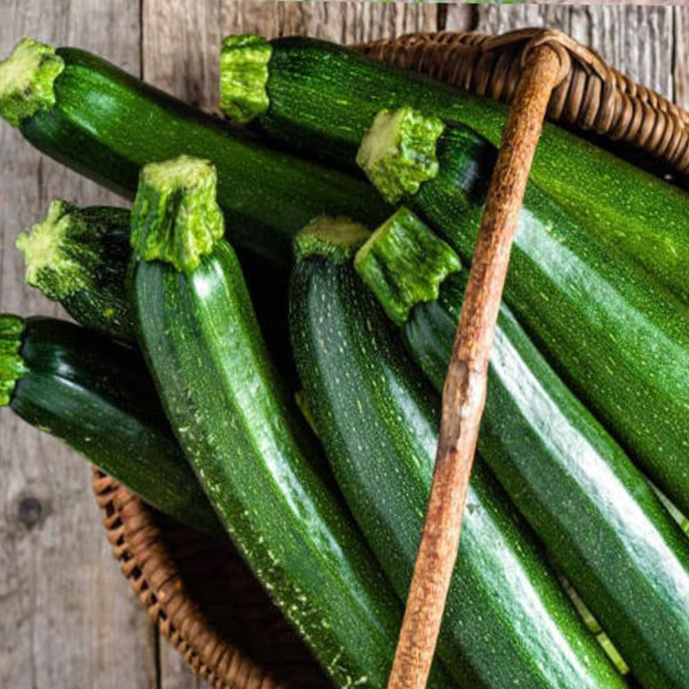 20 Dark Green Zucchini Squash Seeds Courgette Italian Zucchino Vegetable USA - 20+Dark Green Zucchini Squash Seeds Courgette Italian Zucchino Vegetable USA for Planting - Seeds for Home