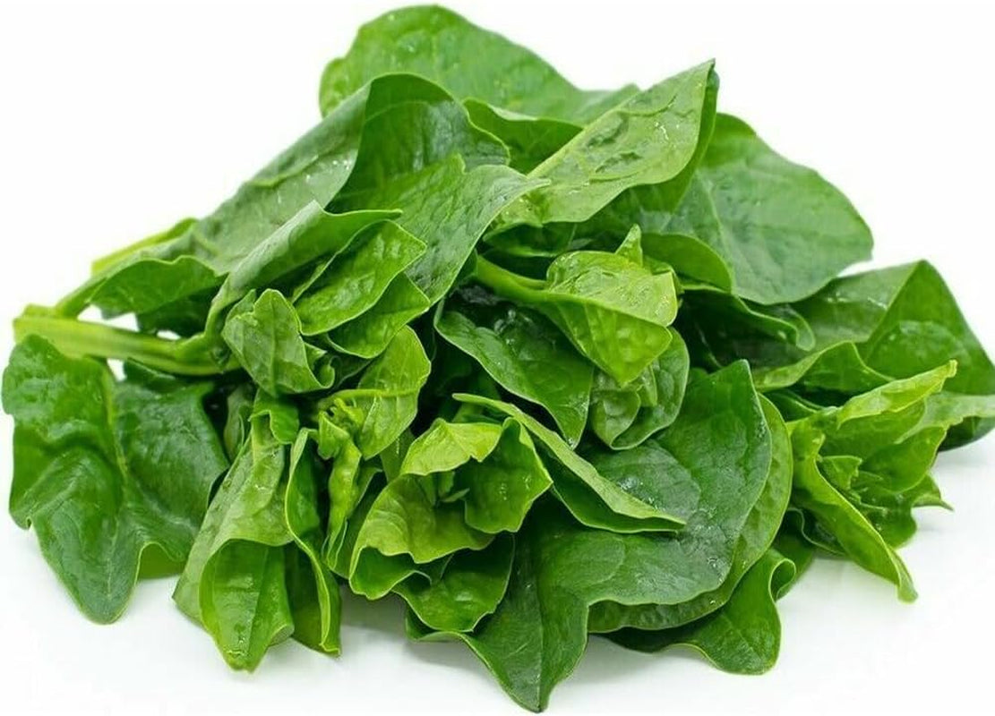 50 Seeds Green Malabar Spinach Seeds Mongtoi Mu Er CAI Ceylon Spinach Vine Spinach - Organic Fresh Seeds for Planting - Seeds for Home and Garden