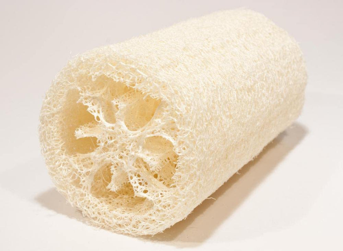 (20) Asian Vegetable Edible Luffa Seeds , Long Smooth Sponge Gourd, Muop Huong