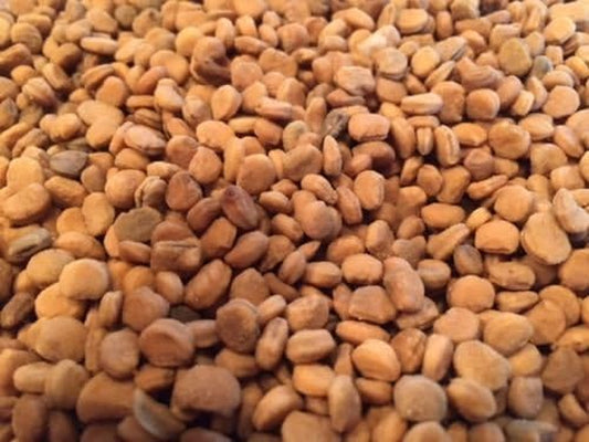 200+Ginseng Seeds -Wild Stratified American Seeds-Ready to Plant w-Grow Roots